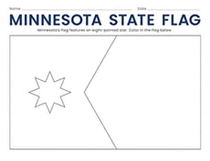 Minnesota State Flag