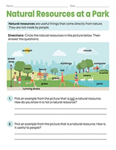 Natural Resources at a Park