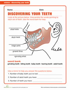 Your Teeth