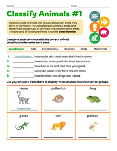 Classify Animals #1