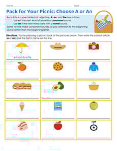 Pack for Your Picnic: Choose A or An