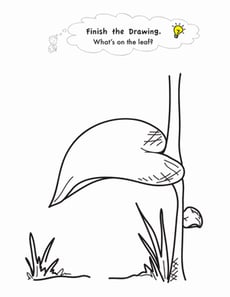 Leaf Drawing