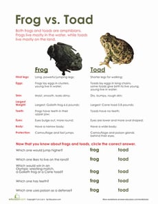 Frog vs. Toad