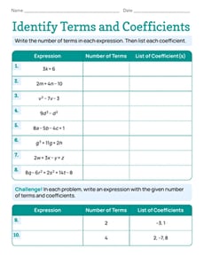 Identify Terms and Coefficients