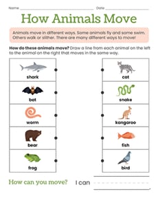 How Animals Move