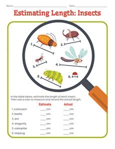Estimating Length: Insects