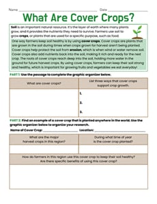 What Are Cover Crops?