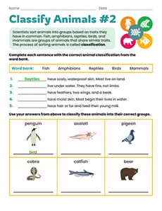 Classify Animals #2