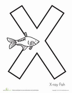 X is for X-Ray Fish