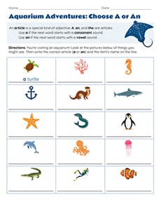 Aquarium Adventures: Choose A or An