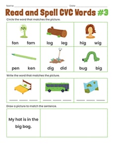 Read and Spell CVC Words #3