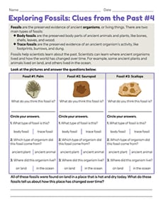 Exploring Fossils: Clues from the Past #4