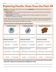 Exploring Fossils: Clues from the Past #5