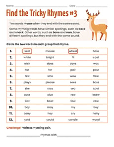 Find the Tricky Rhymes #3