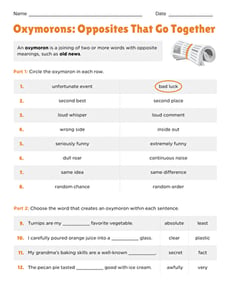 Oxymorons: Opposites That Go Together