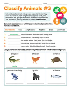 Classify Animals #3