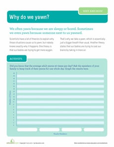 Why Do We Yawn?