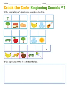 Crack the Code: Beginning Sounds #1
