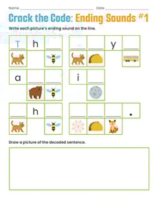 Crack the Code: Ending Sounds #1