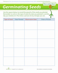 Germinating Seeds