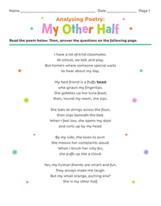 Analyzing Poetry: My Other Half