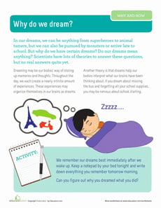Why Do We Dream?
