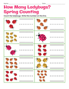How Many Ladybugs? Spring Counting
