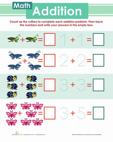 Insect Addition