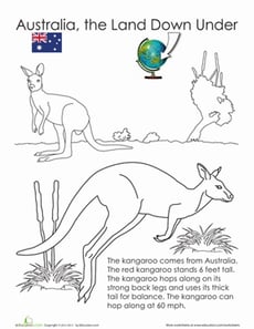 Kangaroo