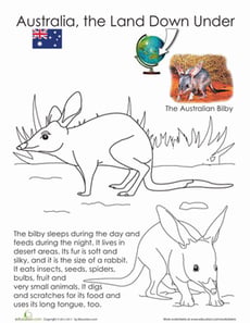 Bilby