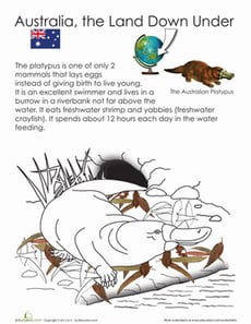 Platypus Facts