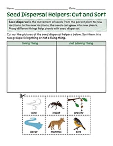 Seed Dispersal Helpers: Cut and Sort
