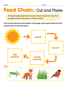 Food Chain: Cut and Paste