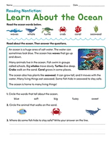 Reading Nonfiction: Learn About the Ocean
