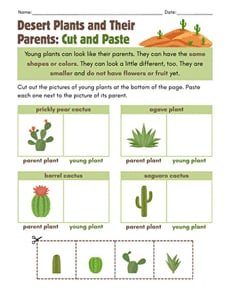 Desert Plants and Their Parents: Cut and Paste
