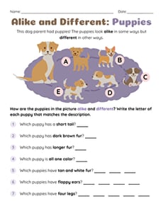 Alike and Different: Puppies