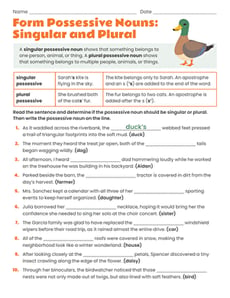 Form Possessive Nouns: Singular and Plural