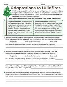 Adaptations to Wildfires