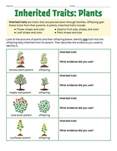 Inherited Traits: Plants
