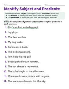 Identify Subject and Predicate