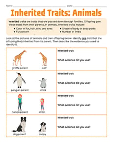 Inherited Traits: Animals
