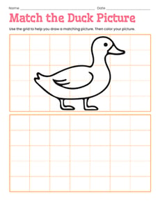 Match the Duck Picture