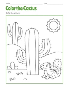 Color the Cactus