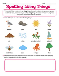 Spotting Living Things
