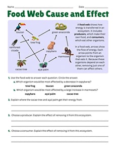 Food Web Cause and Effect