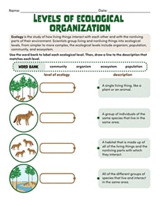 Levels of Ecological Organization