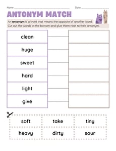 Antonym Match
