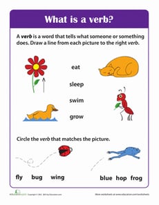 What is a Verb?