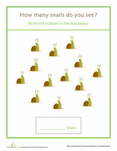Counting Snails