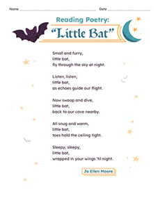 Reading Poetry: "Little Bat"
